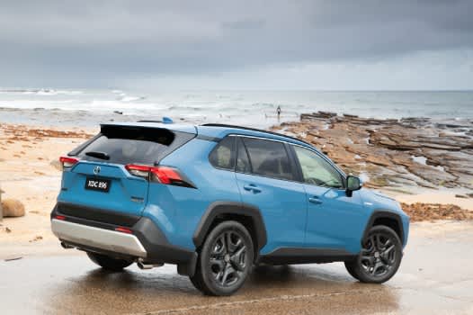 Blue RAV4 parked near beach