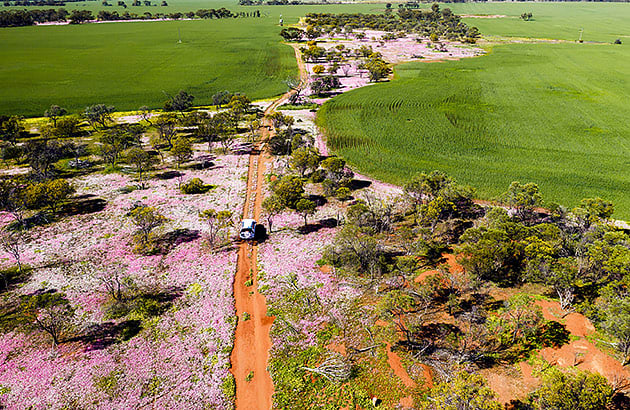 Aerial photo of a car driving along a dirt road in Morawa