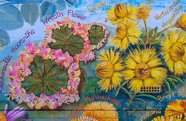 A colourful mural on the side of a building in Three Springs