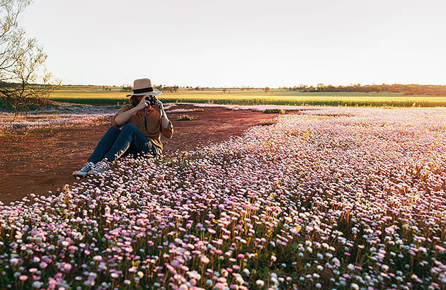 A woman sitting on the ground taking photos of pink wildflowers