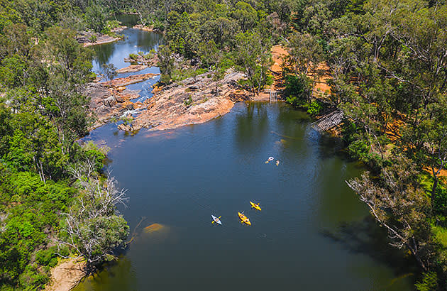 People canoeing across a river in a forested area in Dwellingup