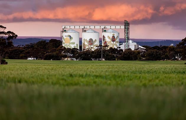 A close-up view of the painted grain silos in Ravensthorpe