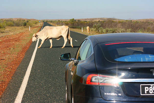 Taking on all challenges a far north-west drive can throw at you