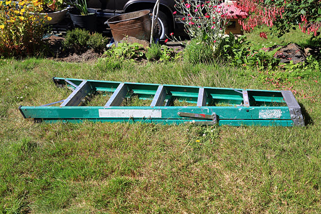 Ladder lying on a lawn