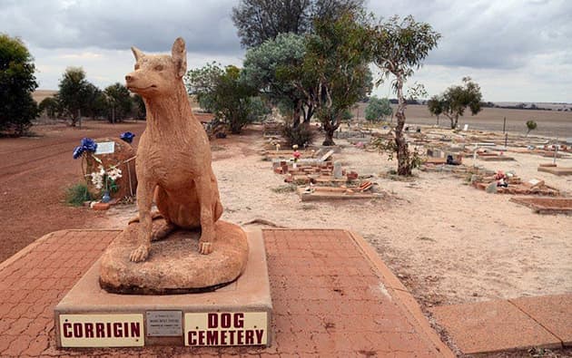A large statue of a dog sits on top of the entry signs to the Corrigin Dog Cemetery