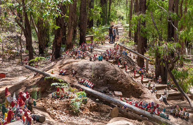 Hundreds of little garden gnomes are places throughout the bushlands at Gnomesville.