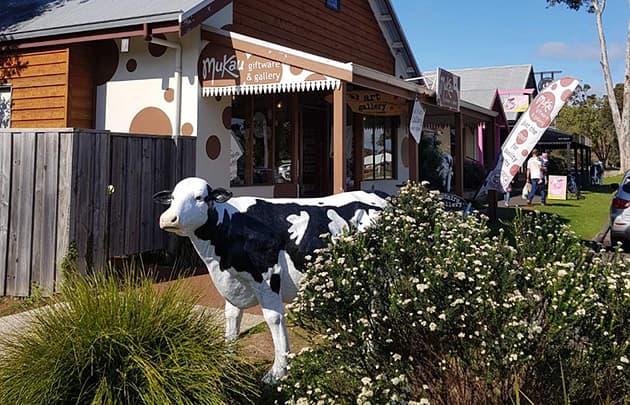 One of the many cow sculptures positioned near the footpath near a shop in Cowaramup.