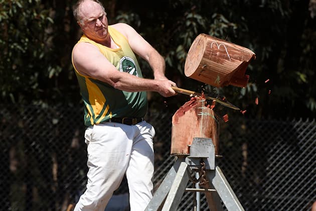 A man is chopping a big log