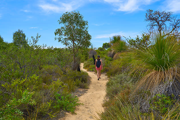 Woman following a bush trail