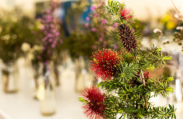 A display of colourful wildflowers in a vase