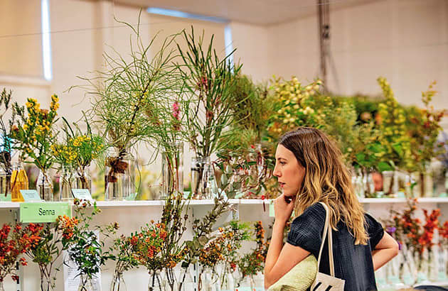 A display of many wildflower species on a shelf