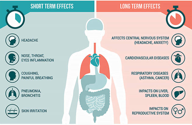 An infographic showing the health impacts of air pollution on the body