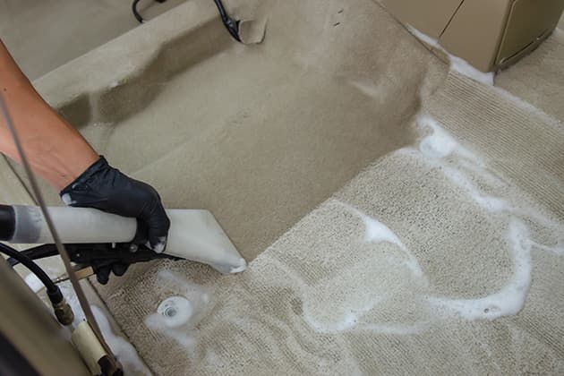Deep clean car carpet