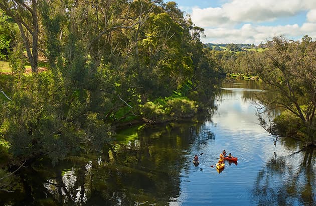 Three canoes on the Blackwood River