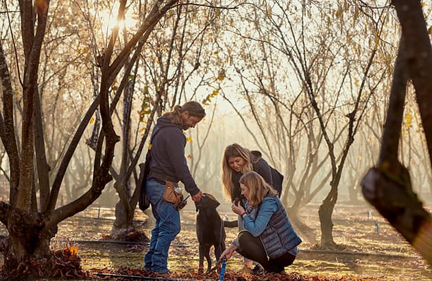 Truffle hunting on a truffle farm in Manjimup