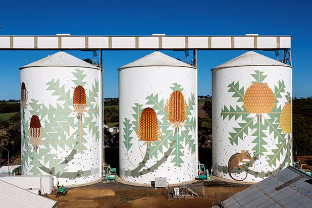 Three painted grain silos featuring banksia flowers