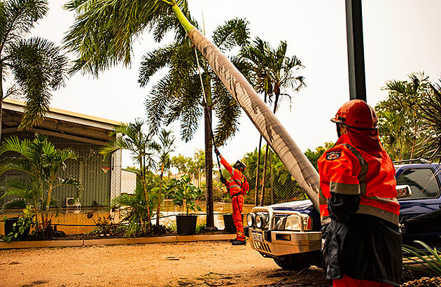 Emergency workers clear a fallen palm tree after a storm