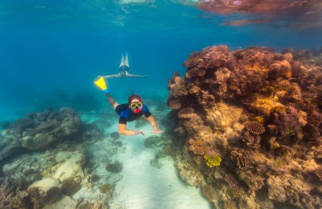Underwater shot of couple snorkelling at Ningaloo Reef