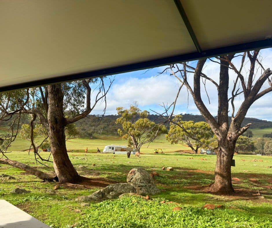 Image from the awning of a caravan overlooking green hills and roaming farm animals