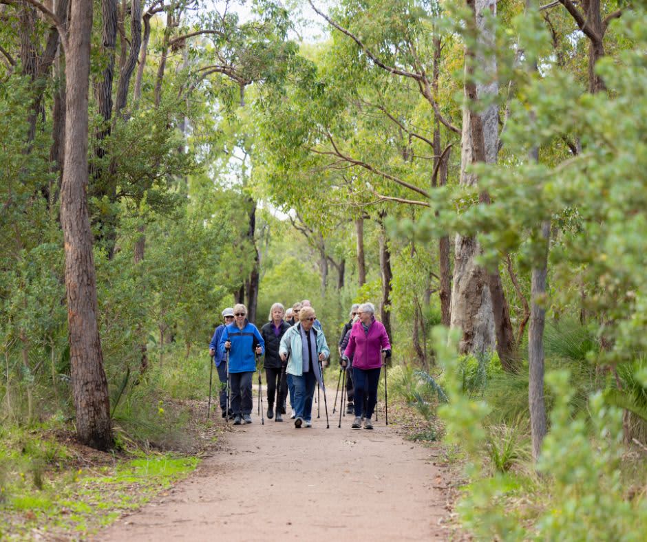 Group of senior people with walking poles on a flat trail in the forest