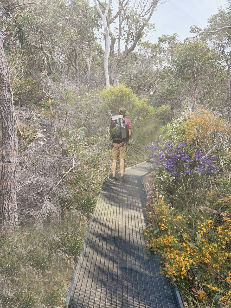 A man walking up flat walkway surrounded by wildflowers and trees