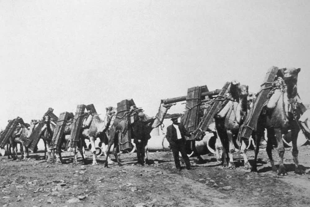 TT_TheGhan_Camel