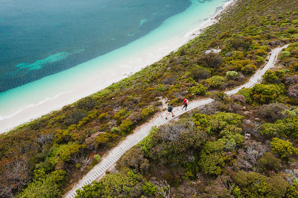 An aerial view of hikers on the Bald Head Walk Trail.
