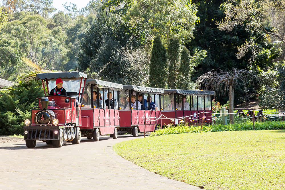 A small red train with three carriages and passengers driving through grounds
