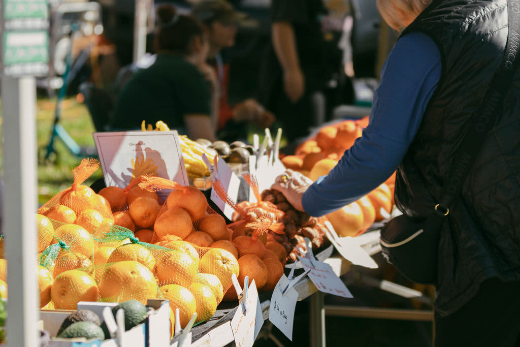 A close-up shot of a bustling outdoor farmers market stall filled with fresh produce. In the foreground, numerous mesh bags packed with bright orange citrus fruits are piled high on a display table. Small price tags and a descriptive sign are clipped to the front of the display. A person wearing a black quilted vest over a long-sleeved blue shirt and a black crossbody bag stands on the right, reaching toward the produce. The background is softly blurred, showing other market vendors and customers under a tent on a sunny day.