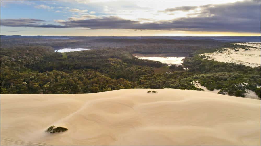 The white sands of Yeagarup Dunes near Pemberton with green forest and waterways in the background.