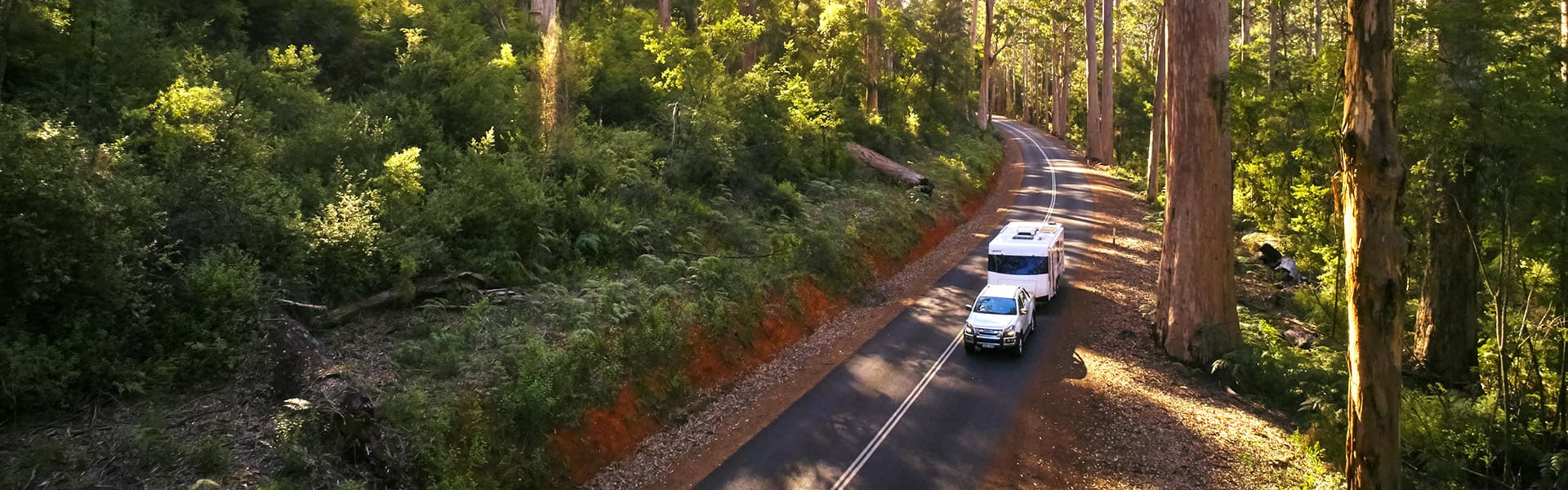 A car towing a caravan on a Pemberton road