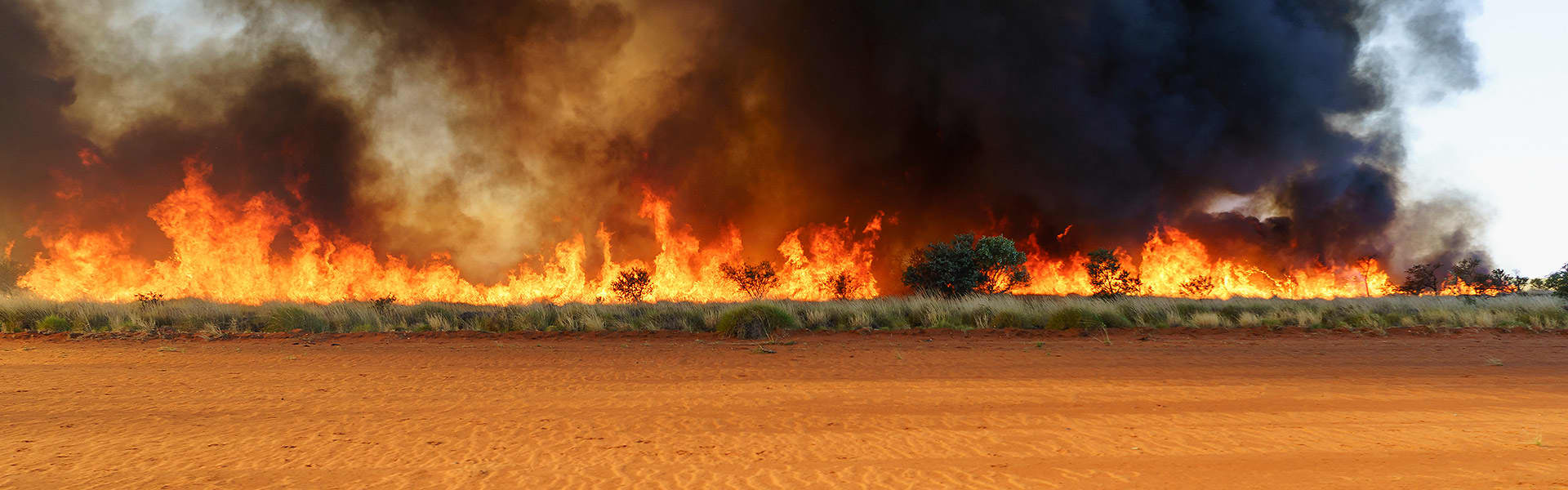 Fire across a field from a bushfire