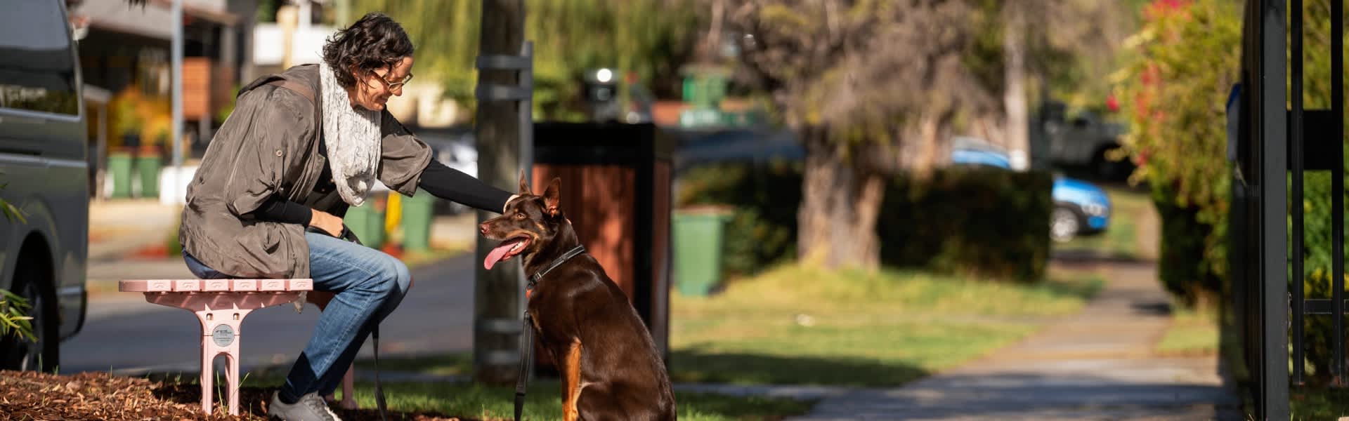 Lady and her dog sitting at bench