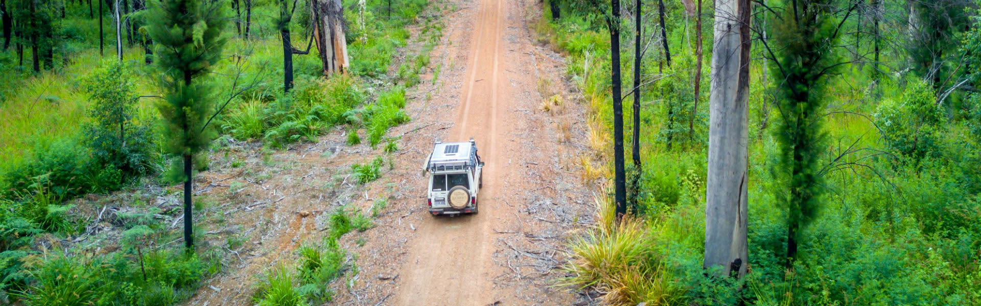 A car driving in the forest