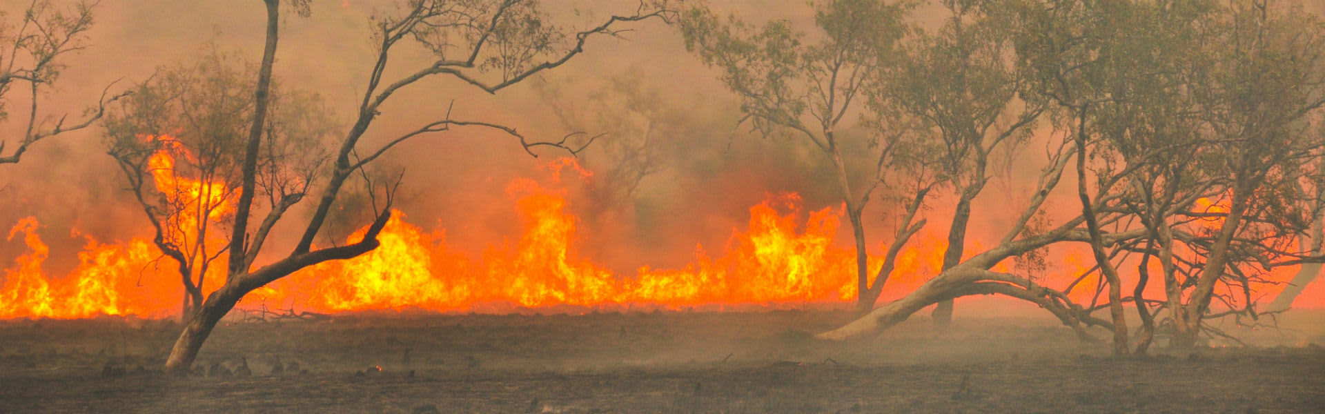 A bushfire raging in Australian bushland
