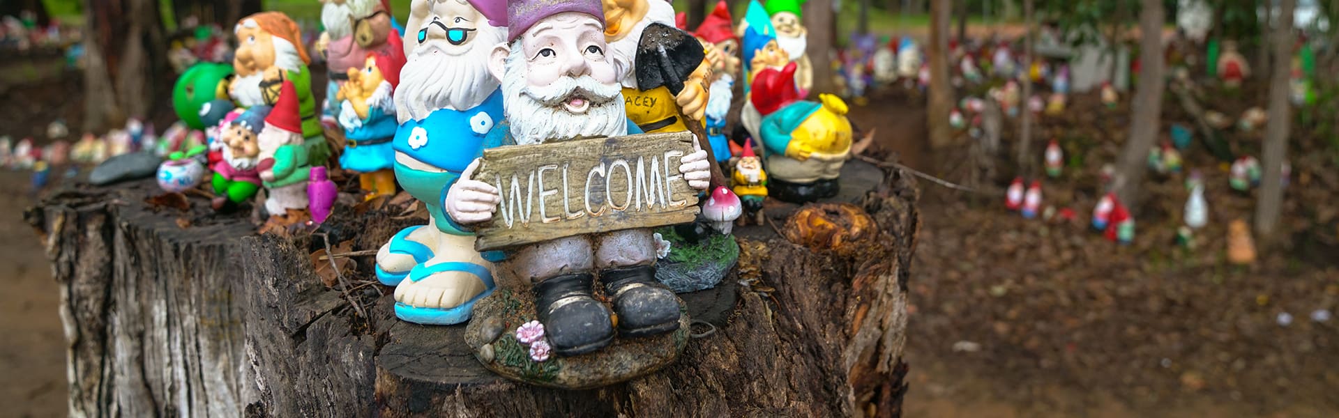 TT_Dardanup_gnomes2