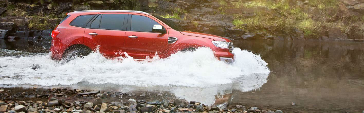 Ford Everest BANNER