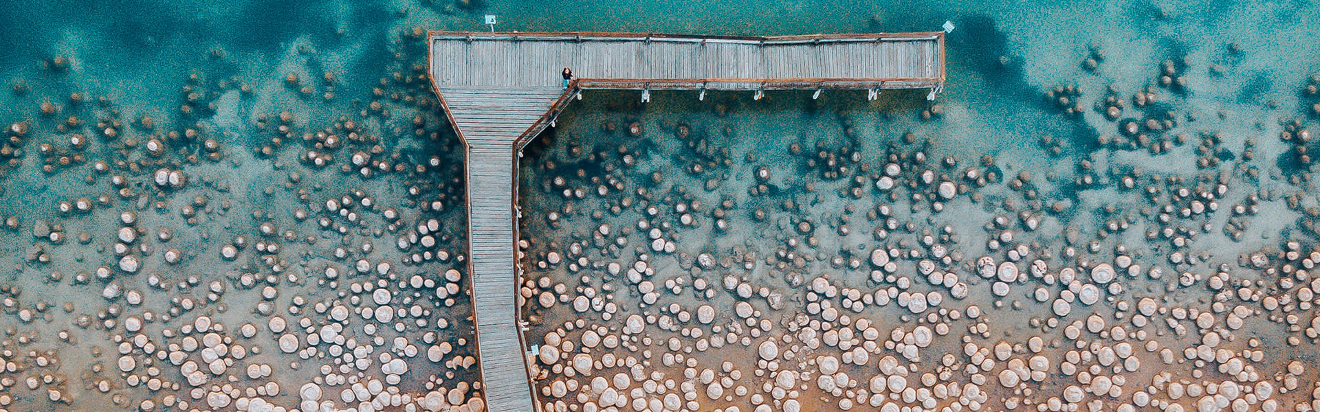 peel-thrombolites