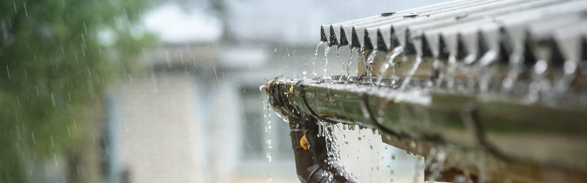 Water dripping off edge of a roof