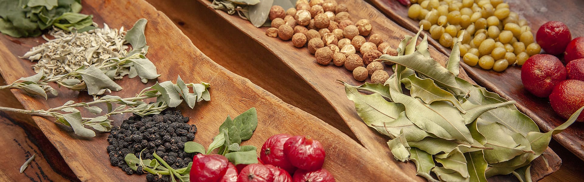 A selection of bush tucker fruits and vegetables