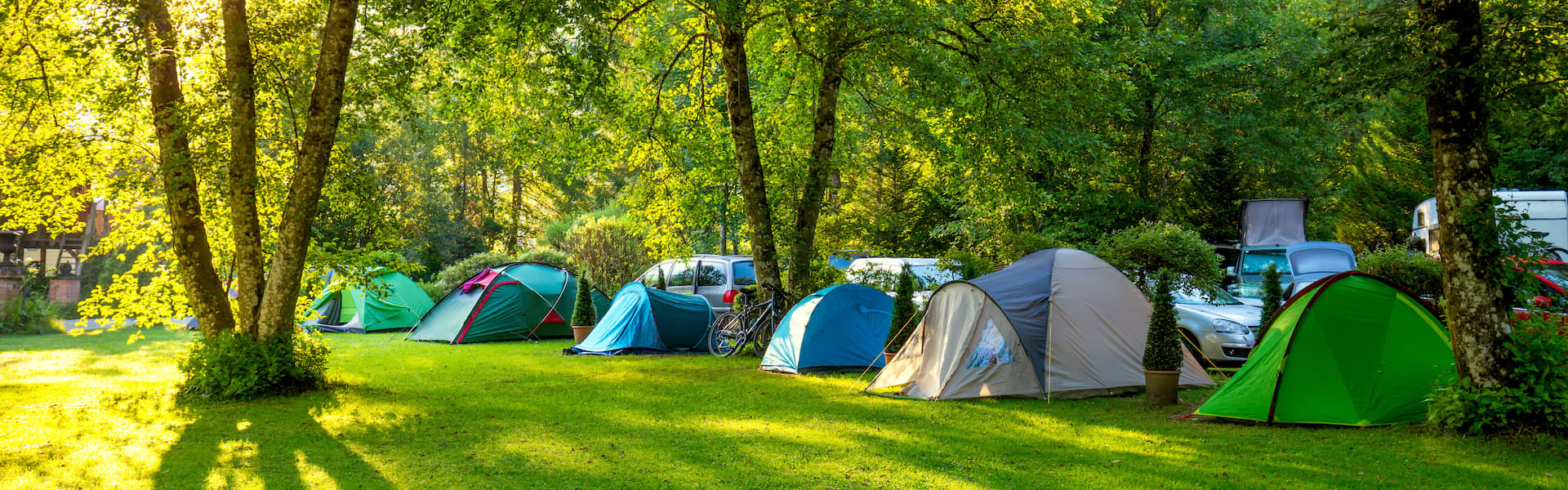 Image of tents on lawn
