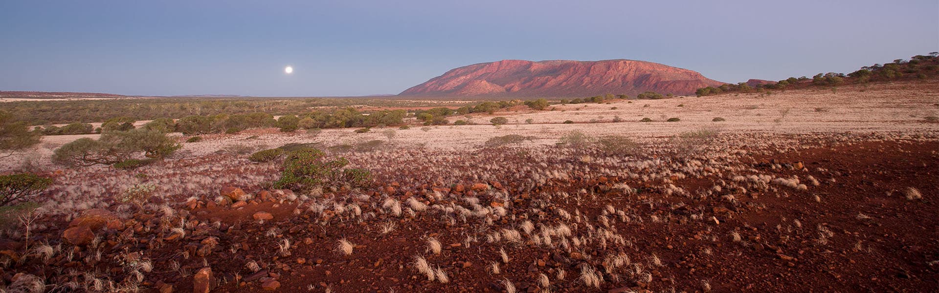 Mount Augustus at night