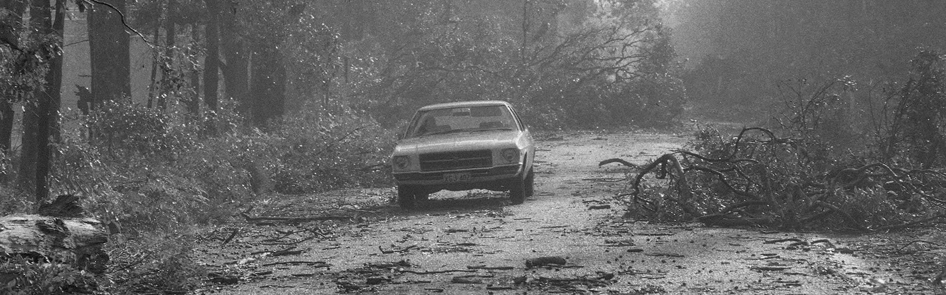 A car driving though fallen trees during Cyclone Alby