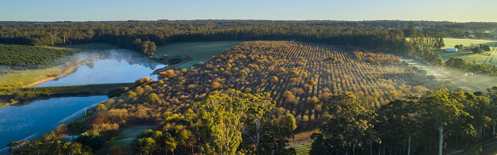 Image of a landscape