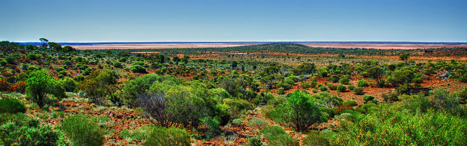 Image of a landscape
