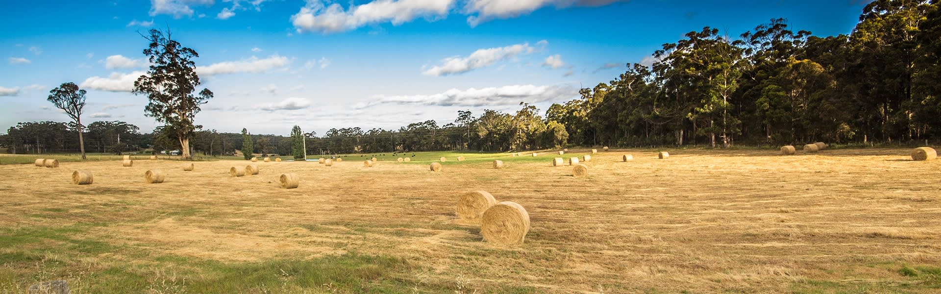 TT_nannup_farm