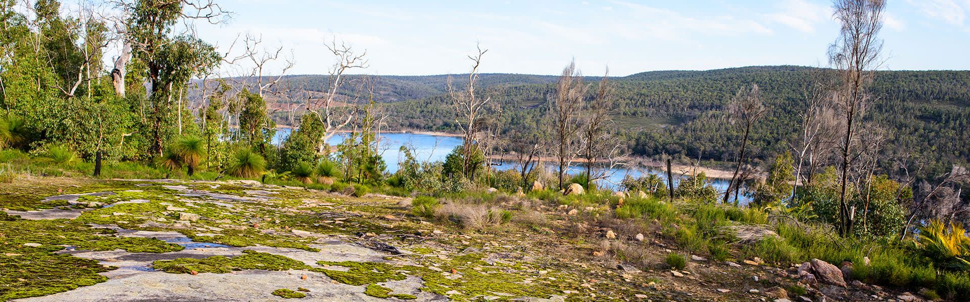 View over national park lake and trees