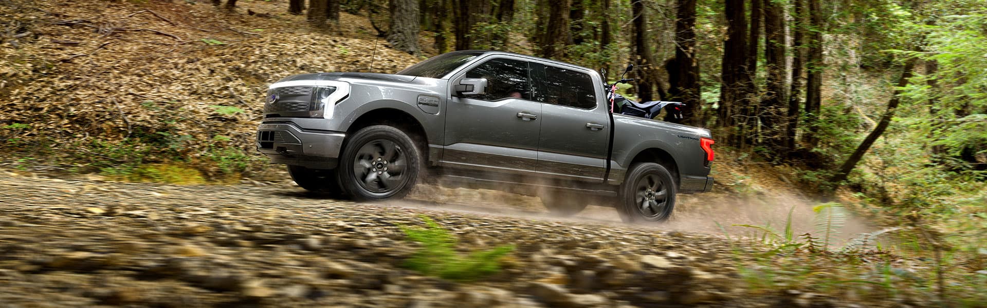 Grey Ford Lightning in the woods