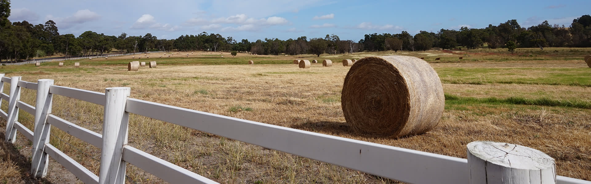 Image of an empty field