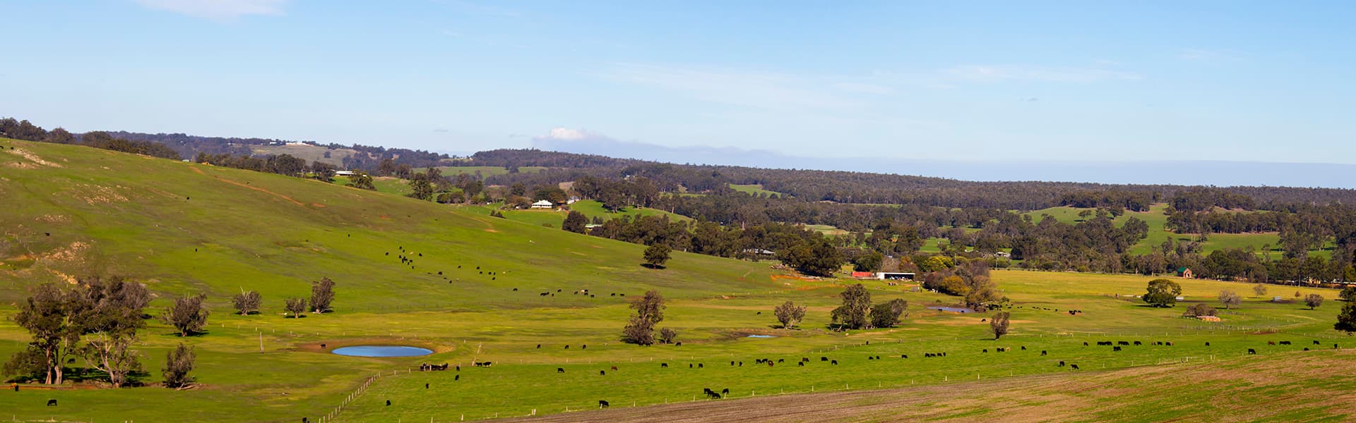 Vista of Ferguson Valley